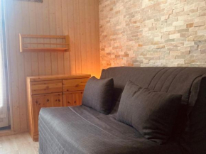 Studio cabine tout confort pour 4, terrasse sud-ouest - FR-1-263-555